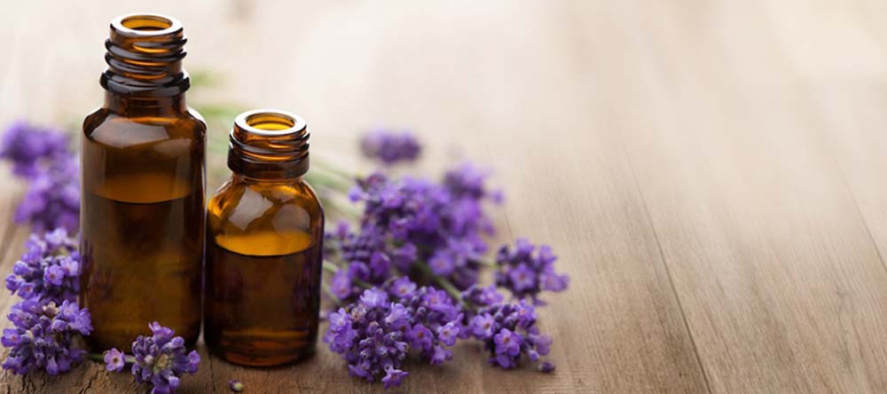 lavender essential oil